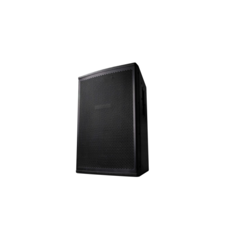 Professional Speaker Lucky Tone Professional speaker lucky tone