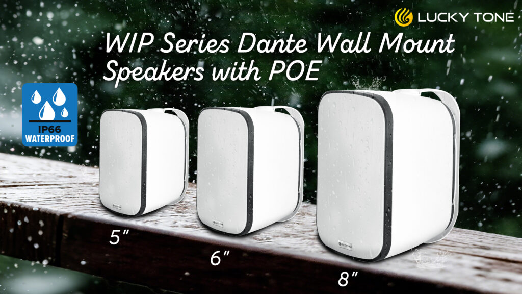 Lucky Tone WIP-5 Dante POE & WIP-6 Dante POE & WIP-8 Dante POE 视频海报